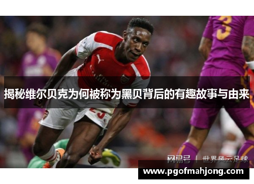 揭秘维尔贝克为何被称为黑贝背后的有趣故事与由来