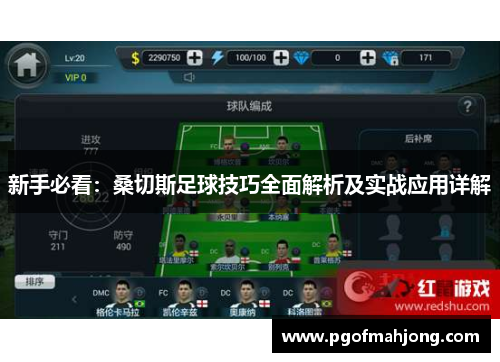 新手必看：桑切斯足球技巧全面解析及实战应用详解