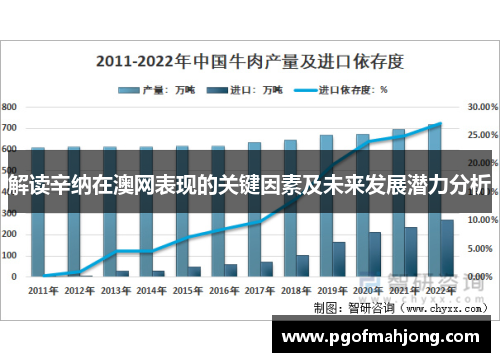 解读辛纳在澳网表现的关键因素及未来发展潜力分析