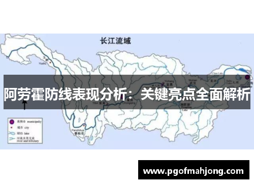 阿劳霍防线表现分析：关键亮点全面解析